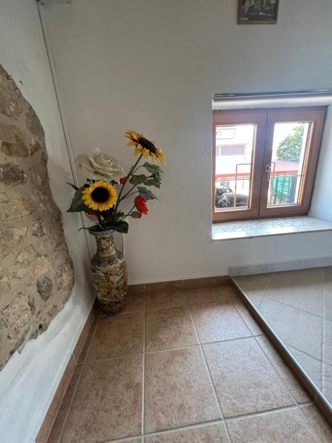 Kuca Za Odmor Matea Apartment Poreč Exterior foto